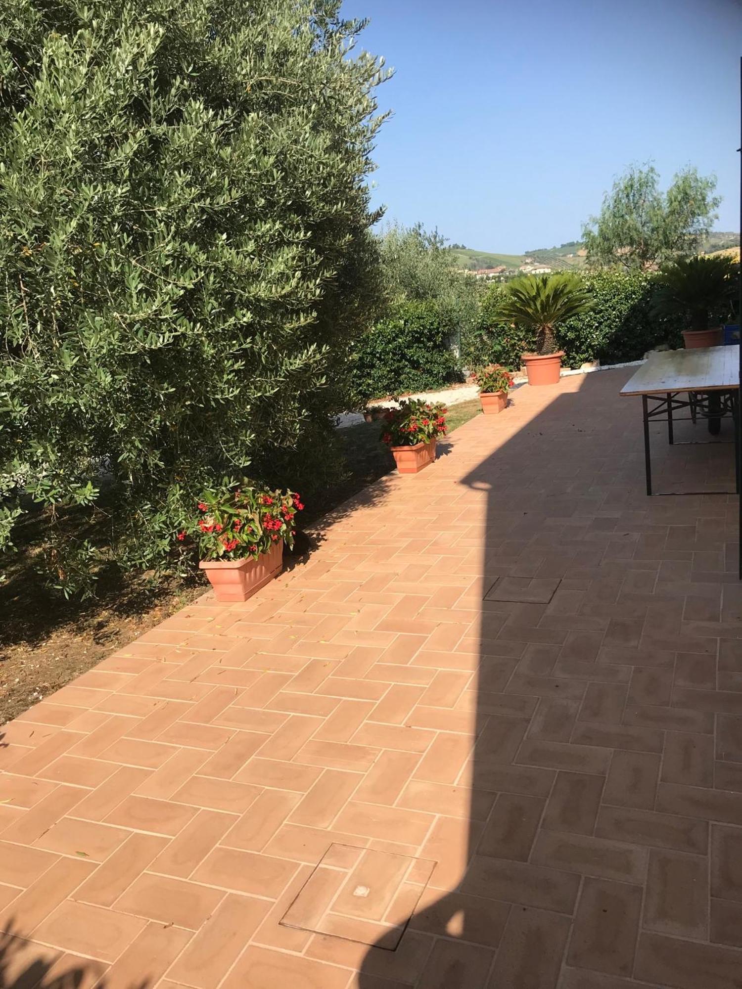 Agriturismo Cerquatonda Montalto delle Marche Exteriér fotografie