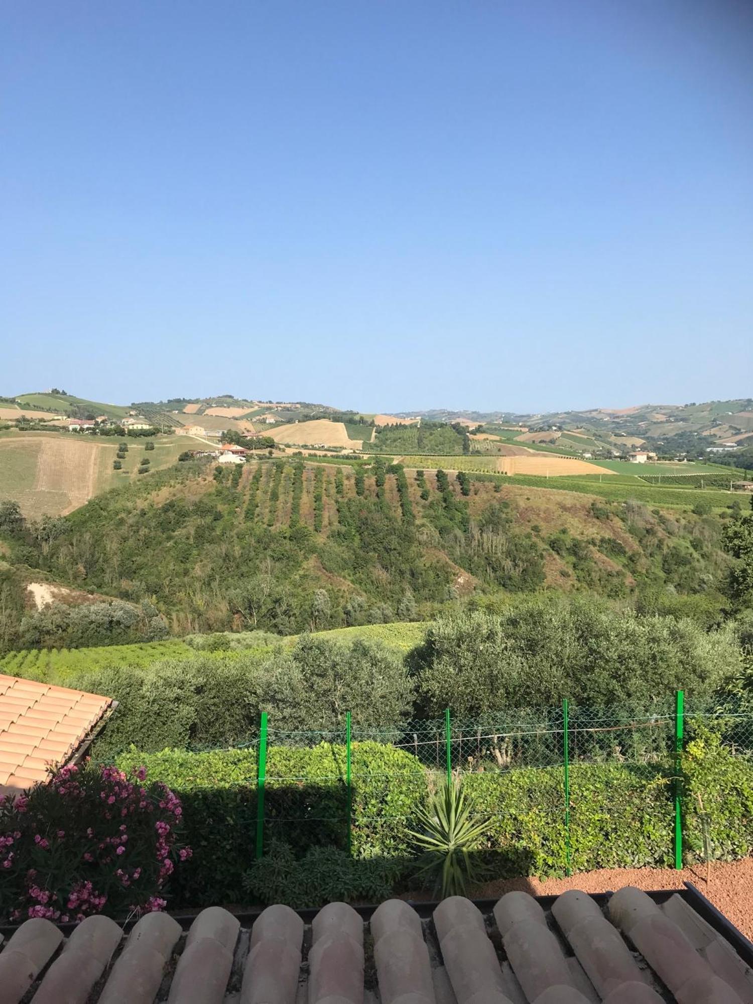 Agriturismo Cerquatonda Montalto delle Marche Exteriér fotografie